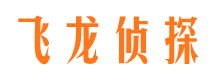 布尔津侦探